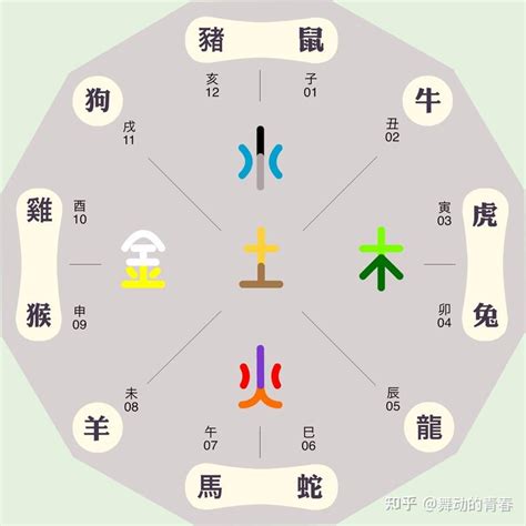 五行代表動物|生肖纪年